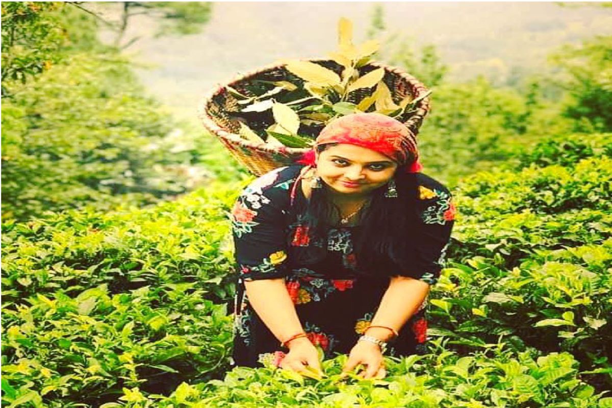 Uttarakhand Tour Gallery